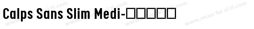 Calps Sans Slim Medi字体转换